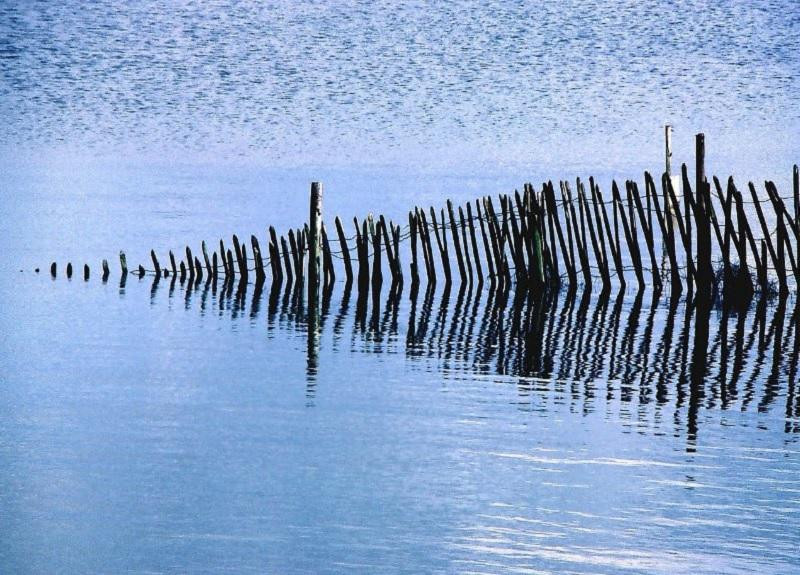 Newsweek: Установка плавучего барьера на границе США с Мексикой обошлась в 1 млн долларов