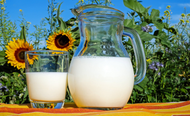 В Узбекистане наладили выпуск иммунного молока для нейтрализации коронавируса