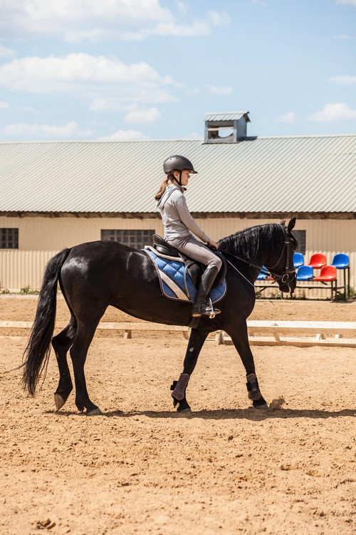 В проекте «Подкованные» в Орловской области приняли участие 25 подростков 
