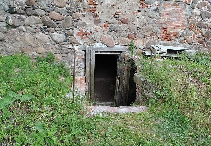 Mirror: американка увидела руку в подвале и поняла, что там несколько месяцев кто-то живёт