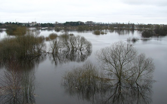 Пожилая пара в Приморье 9 дней жила на чердаке, спасаясь от паводка