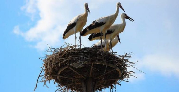 Важные дела и запреты в праздники 20 августа 2023 года по народным приметам