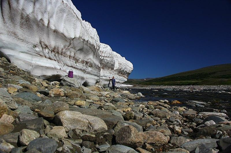 Ученые: Земле угрожают «путешествующие во времени» патогены