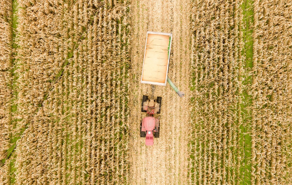 «ТАСС»: Усилия Турции по зерновой сделке могут не дать результата