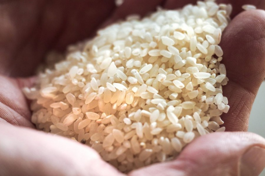 Россия запрещает продавать рис, а Китай ищет способы накормить голодающих