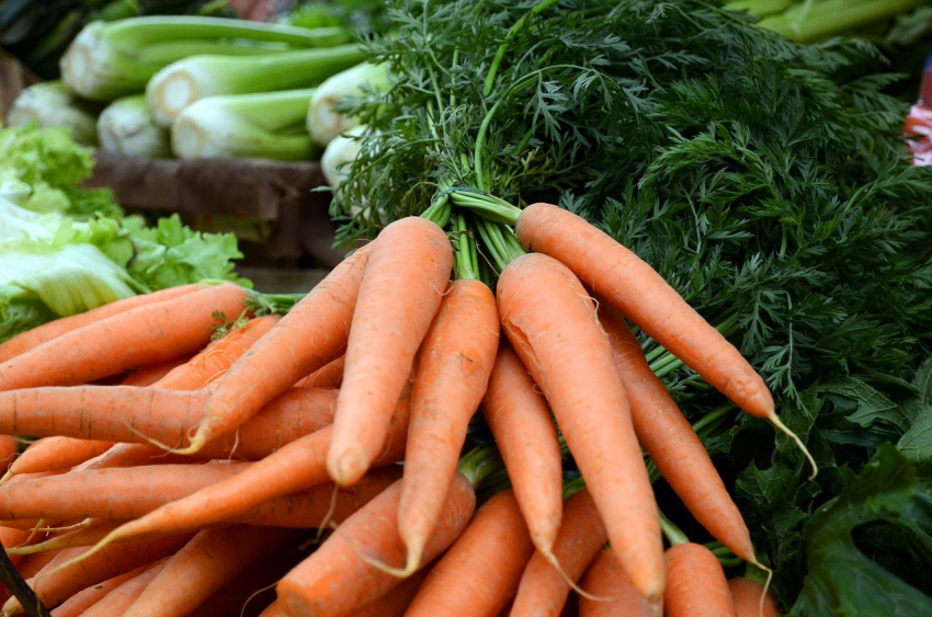 IDIBAPS: Морковь оказалась эффективным средством при профилактике атеросклероза