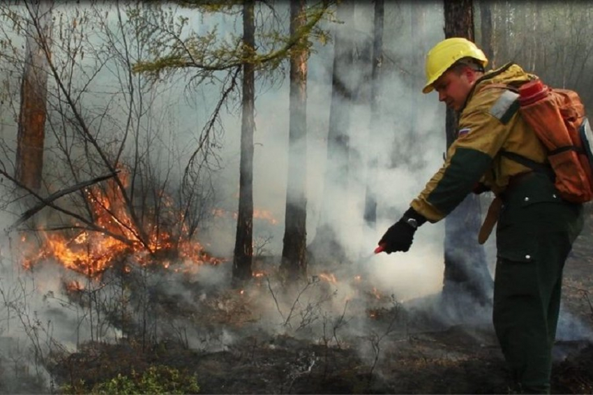 В 12 районах Якутии горят 89 лесных пожаров общей площадью более 100 тысяч гектаров