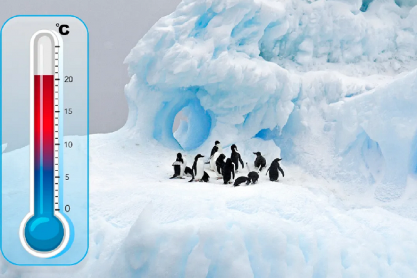 «Frontiers in Environmental Science»: волны тепла и таяния в Антарктиде будут происходить все чаще и сильнее