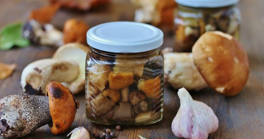 Как отличить хороший белый гриб от плохого: разбираем грибные виды