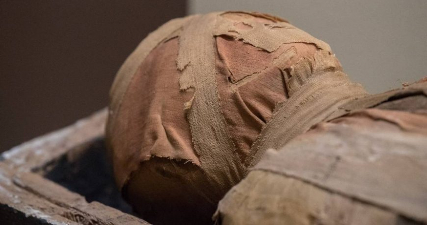 Склонен к ожирению: история и «проклятие» альпийской мумии Этци