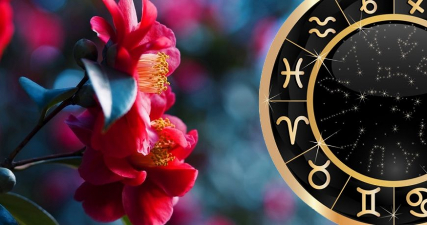 Кардинально изменится: у каких знаков зодиака жизнь в конце лета сделает новый поворот