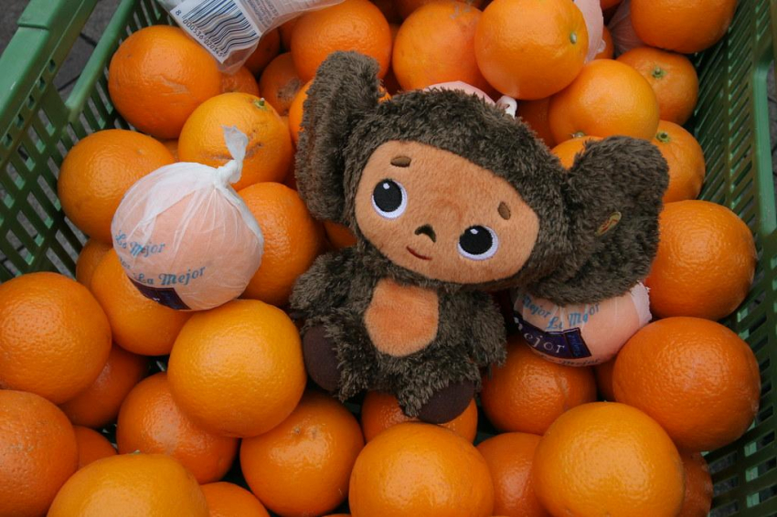 Сергей Гармаш рассказал о планах режиссера Дьяченко снять короткометражный фильм о Чебурашке