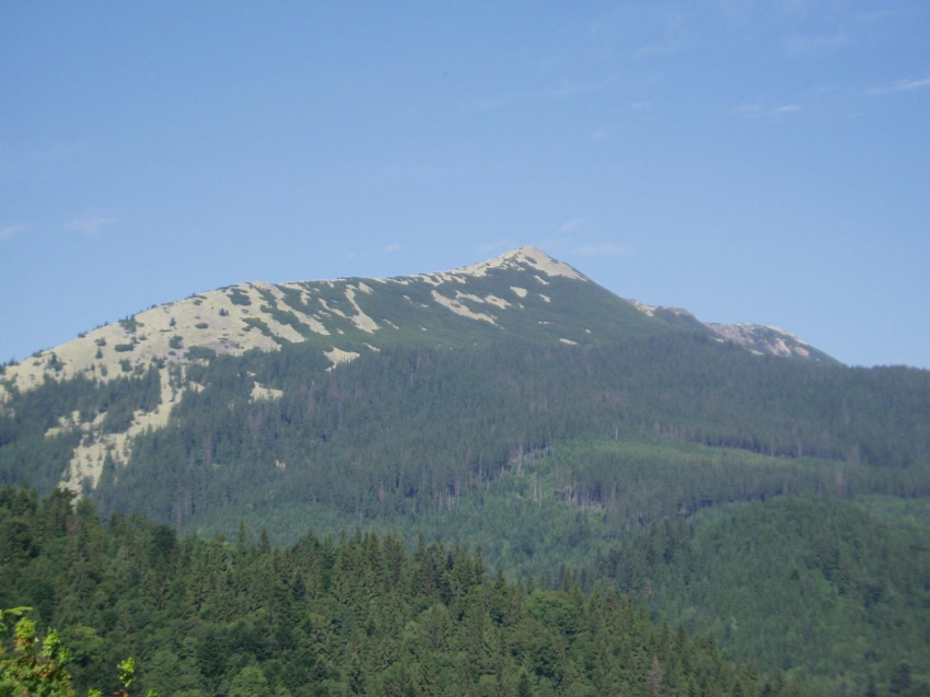 В Анапе женщина не пострадала после падения с 30-метровой скалы