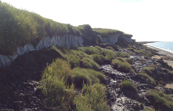 Членкор РАН Крестов прочит Дальнему Востоку превращение в пустыню через 50 лет