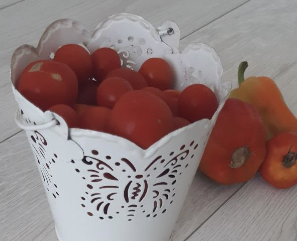 Как заставить быстро покраснеть помидоры: 3 проверенных способа