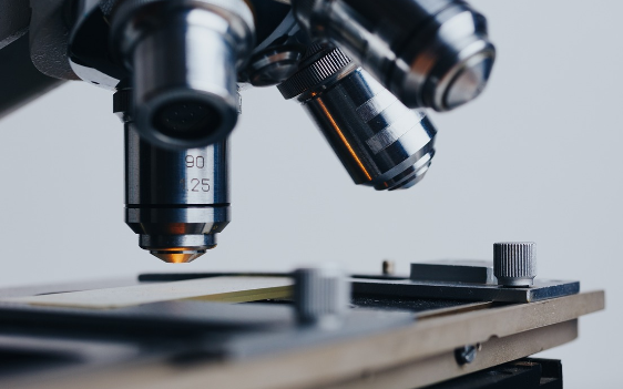 NeuroToxicology: Фталаты из пластмасс приводят к задержке в развитии у мальчиков