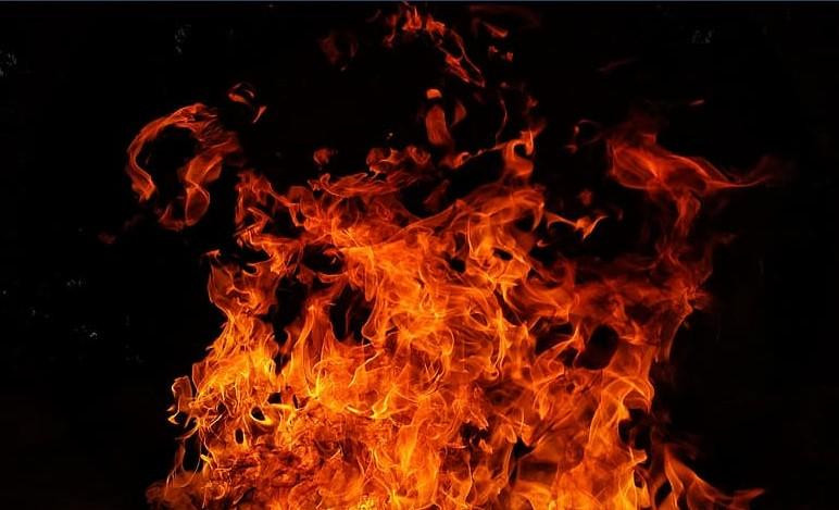 В Петербурге из-за взрыва в рюкзаке ученицы эвакуировали людей из гимназии