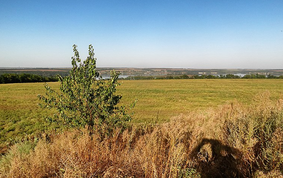 Осенью в европейскую часть России придут несколько волн тепла