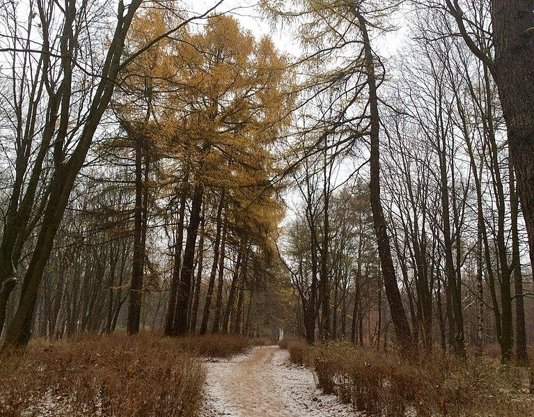 Финляндия разбросает с самолета у границы с Россией в Карелии вакцину от бешенства