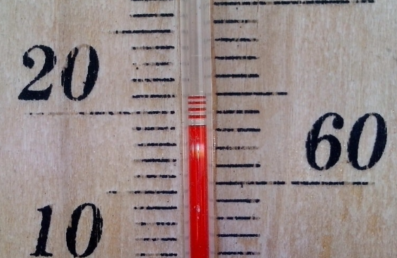 Ночь на 21 сентября в Москве оказалась «субтропически» теплой