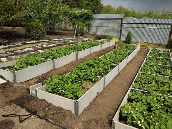 Вечные грядки: хризотилцементная ограда как решение на десятилетия 