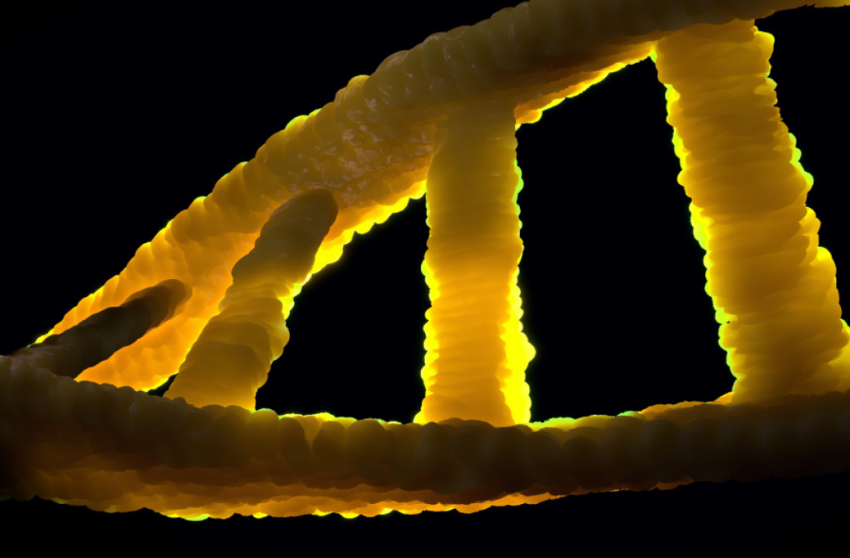 Перенесший COVID-19 американец благодаря галлюцинациям смог найти брата