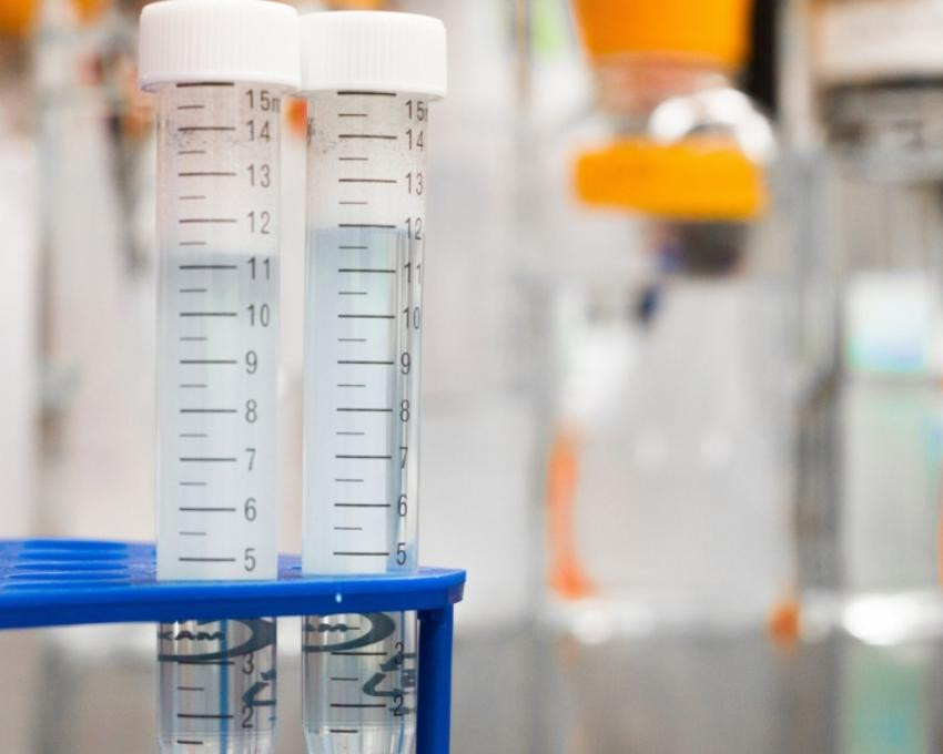 В университете Флориды создали заменяющий фитнес препарат