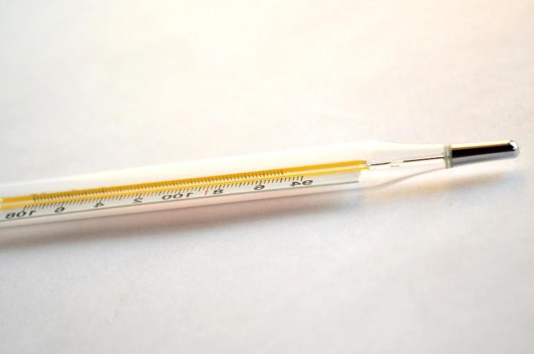 Терапевт Галина Аксенова назвала показатель смертельно опасной температуры тела