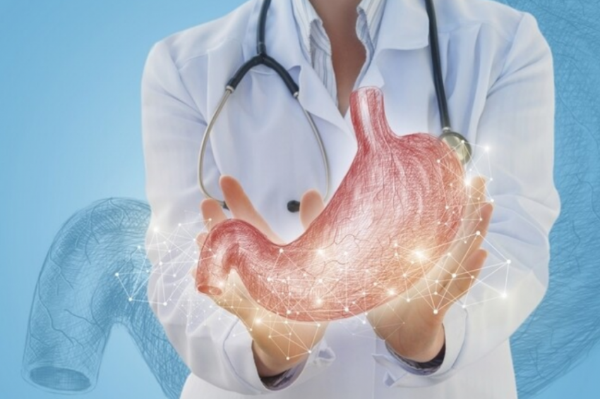 Гастроэнтеролог Федулов рассказал, как восстановить поврежденный желудок