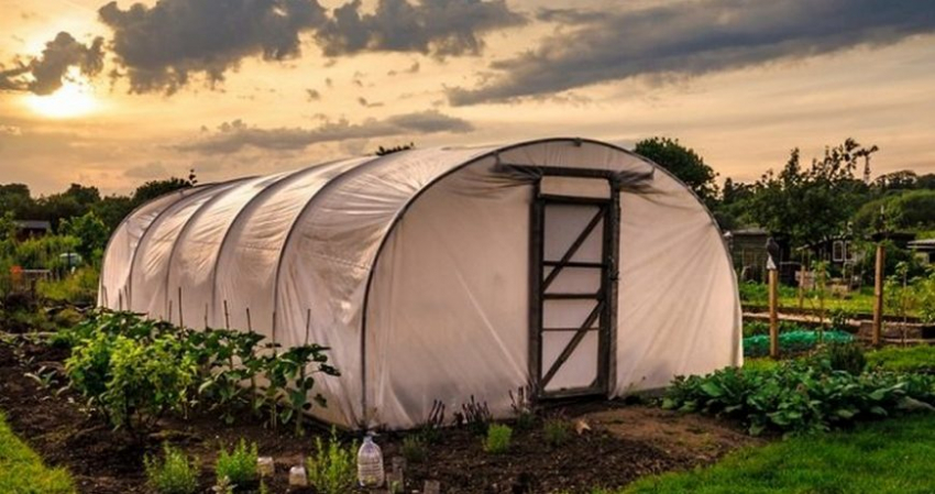 Уборка после урожая: чем помыть теплицу