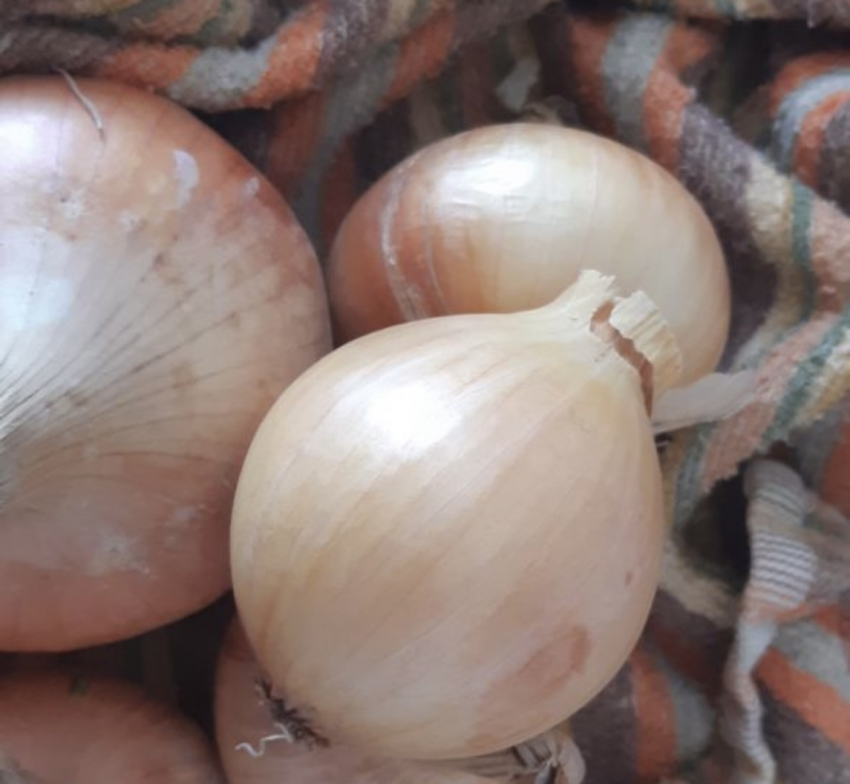 Как хранить лук в городской квартире: полезные советы для хозяюшек