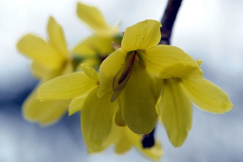 ТАСС: учеными РФ разработаны препараты, противодействующие старению клеток