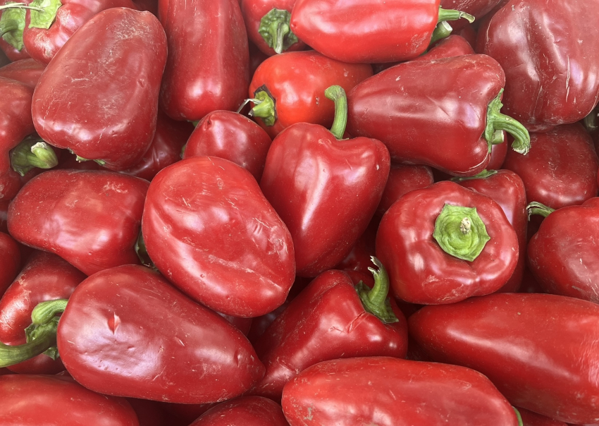 Останутся свежими очень долго: как правильно хранить перцы