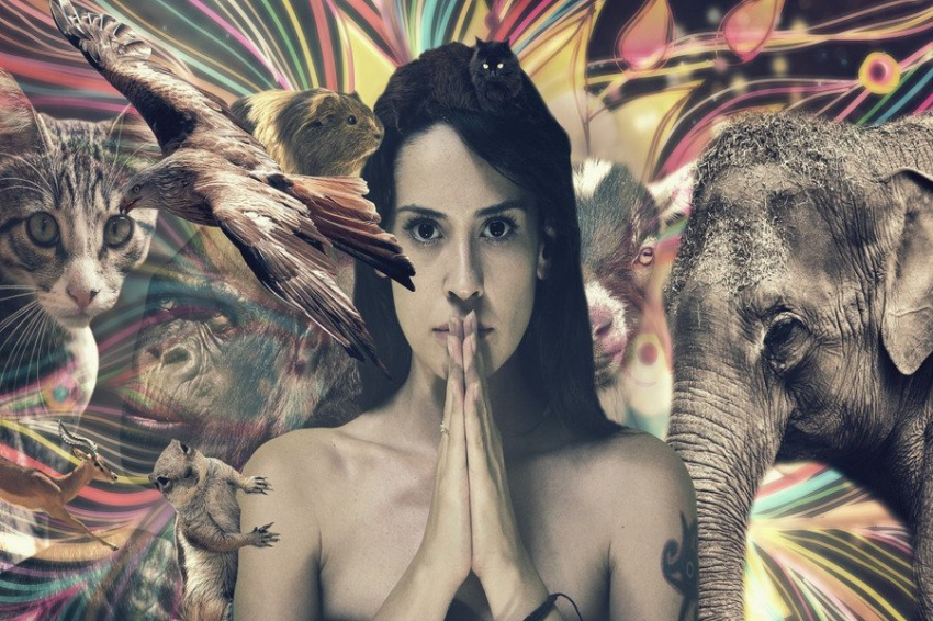 JEZ-B: Антропологи из Пенсильвании признали женский оргазм атавизмом