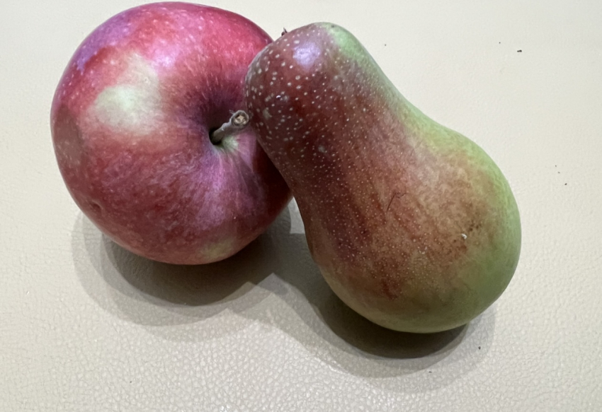 Как сушить яблоки и груши в домашних условиях: секреты и простые способы