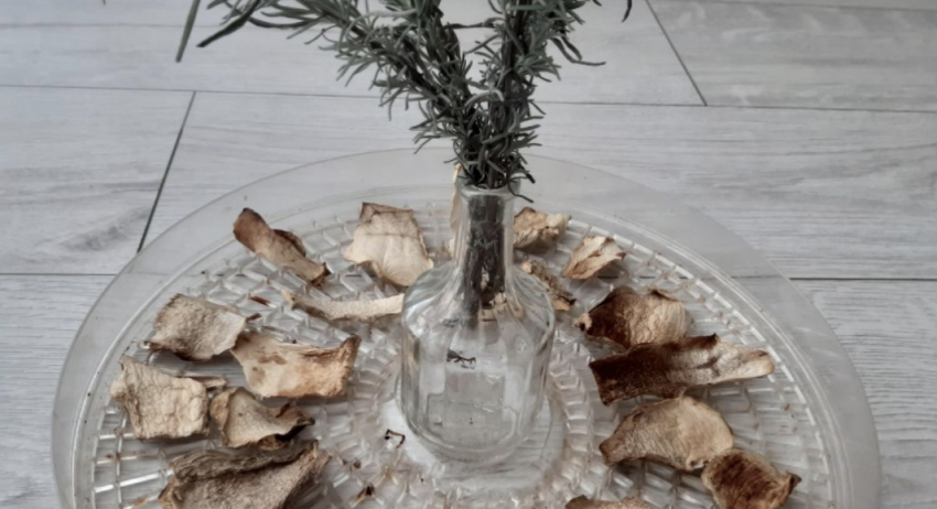 Как сушить грибы в домашних условиях в духовке и сушилке: секреты профессиональных грибников