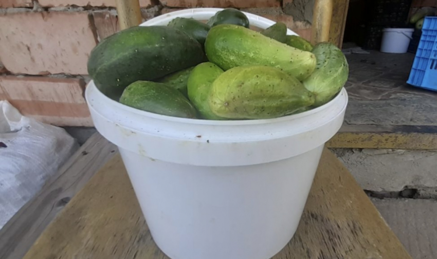 Хрустящие соленые огурцы за 5 минут: удивительно простой способ