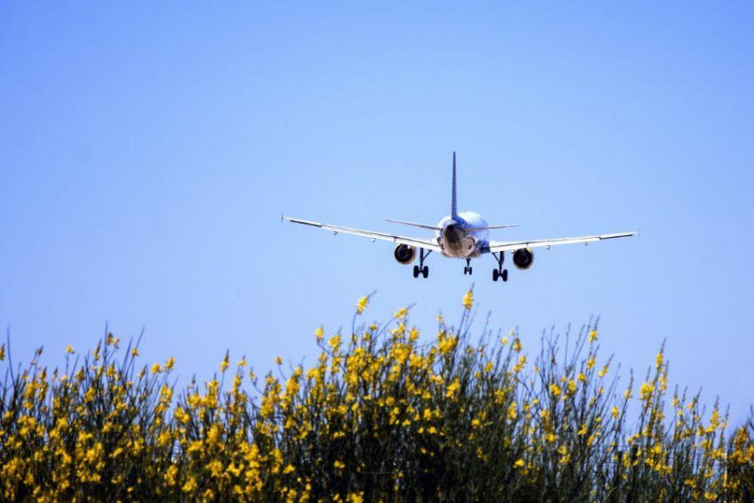В Госдуме встревожены второй посадкой самолета «Уральских авиалиний» в поле