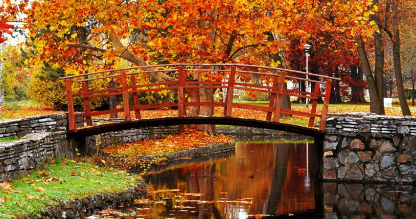 Будет ли в Москве бабье лето осенью 2023 года