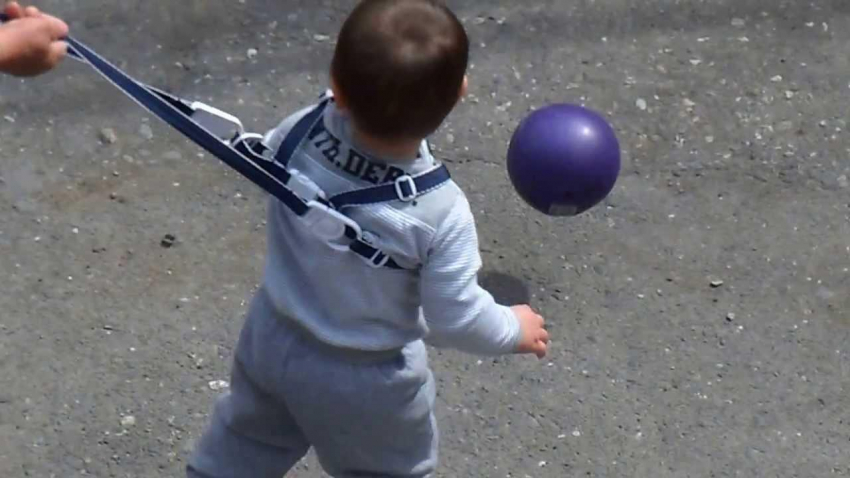 Психолог Рябцева предупредила россиян о вреде выгула детей на поводке