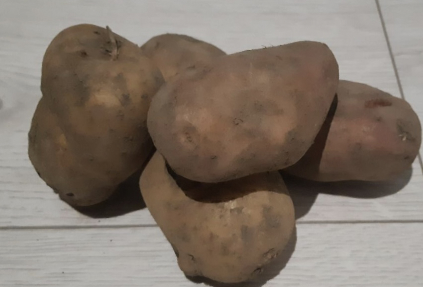 Шеф-повара никогда не выкидают картофельное пюре: вот какую вкуснятину из него можно приготовить