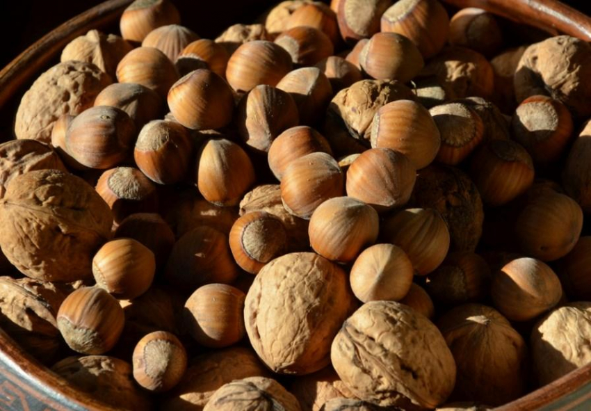 Ученые: Орехи и соя помогают нормализовать соотношение жира и мышц у пожилых