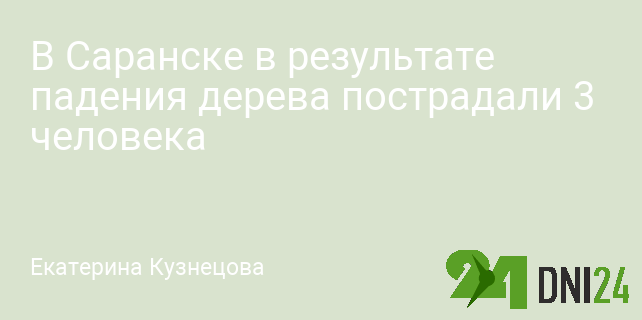 В Саранске в результате падения дерева пострадали 3 человека