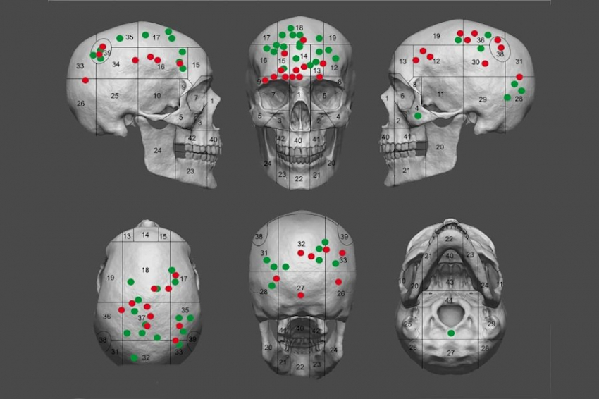 Nature SR: 5 тысячелетий лет назад в Европе прошли масштабные бои
