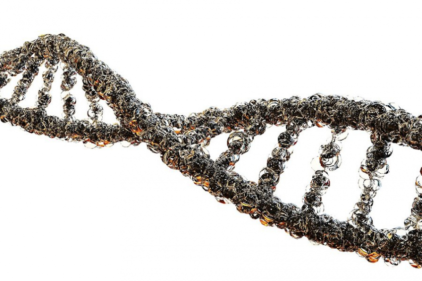 Sky News: мутация гена ZFHX3 оберегает человека от набора лишнего веса