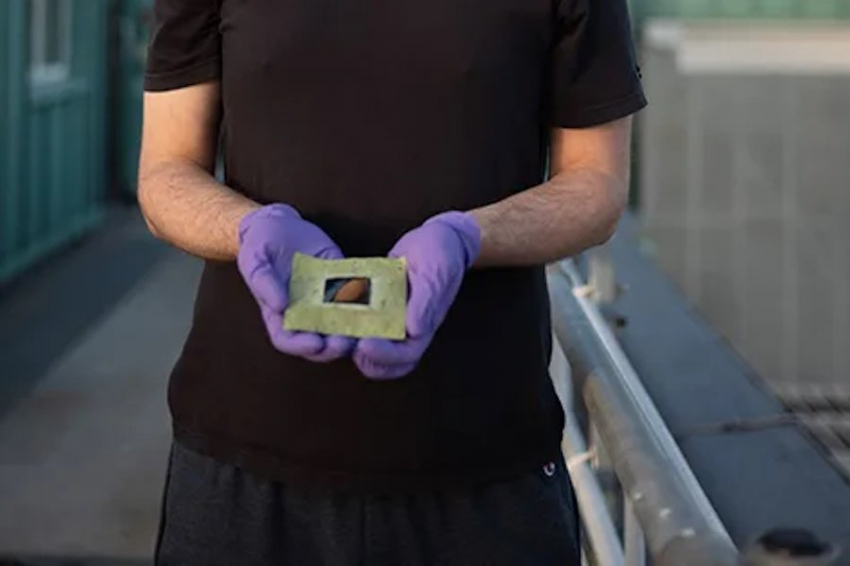 Ученые создали «искусственные листья» и научили их производить водород