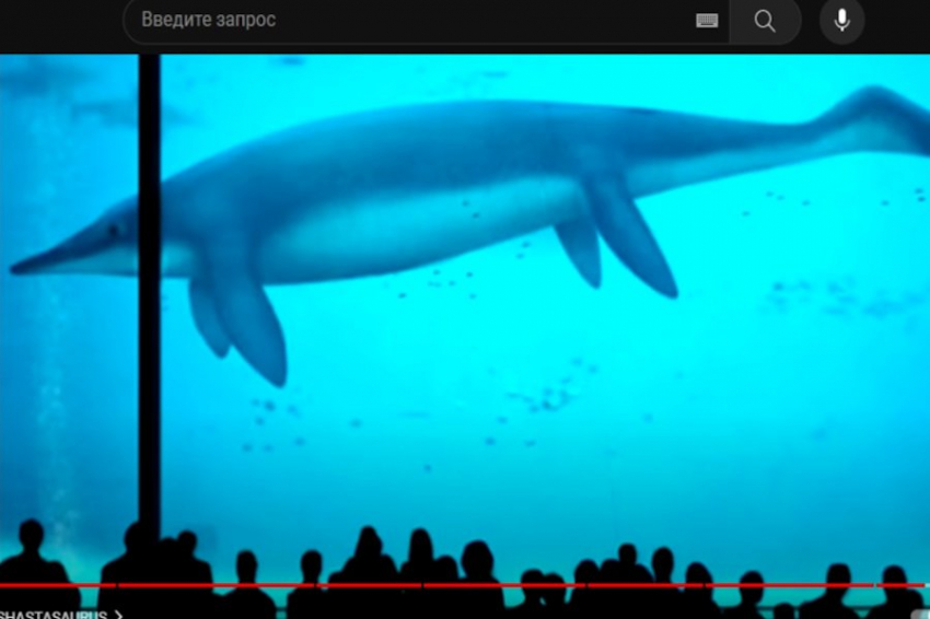 Названы 6 гигантских существ, которые на самом деле существовали и существуют