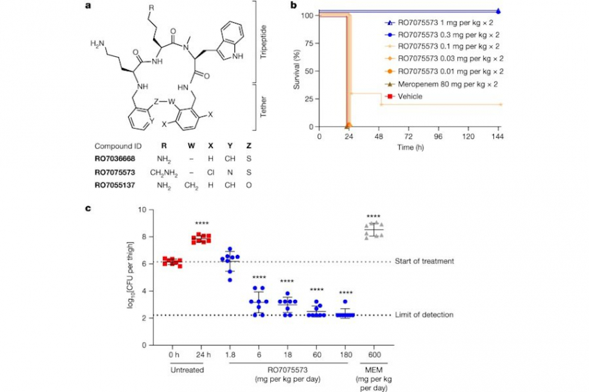 Биохимики разработали класс антибиотиков, уничтожающих «иракскую бациллу»
