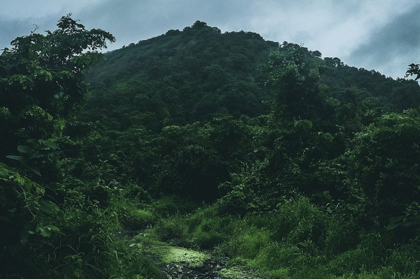 Проложить путь переходу первых людей из Африки могли сильные муссоны