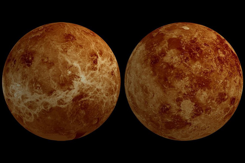 В сернокислых облаках Венеры могут существовать некоторые формы жизни